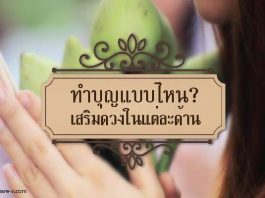 ทำบุญ cover