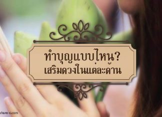 ทำบุญ cover